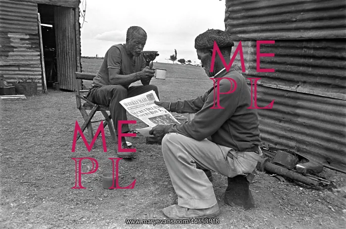 : Men drinking tea and reading The Weekly Mail. The : Men drinking tea and reading The Weekly Mail. The