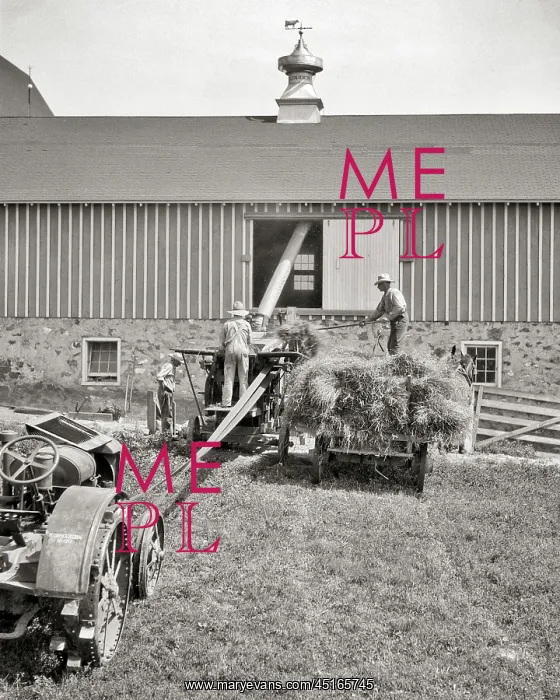: Three Men Farm Workers Loading Hay Into Barn Using : Three Men Farm Workers Loading Hay Into Barn Using