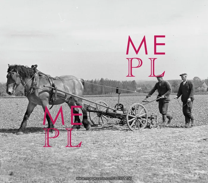 : Two men in a field with a horse and plough : Two men in a field with a horse and plough