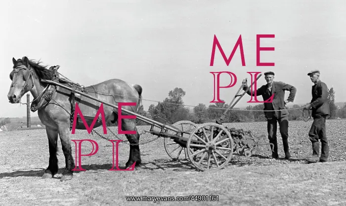 : Two men in a field with a horse and plough : Two men in a field with a horse and plough