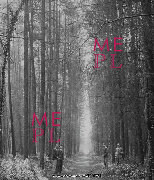 : Four men in Forest of Bere, Hampshire, England : Four men in Forest of Bere, Hampshire, England