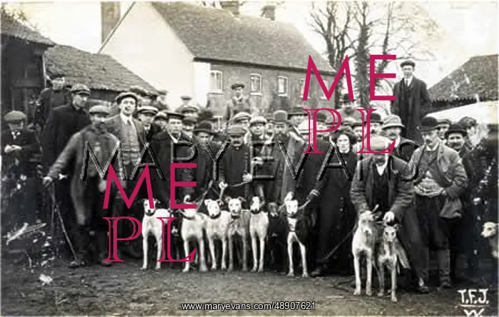 : MEN WITH GREYHOUNDS : MEN WITH GREYHOUNDS