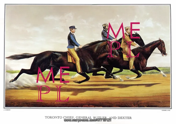  : Three Men Horse Racing