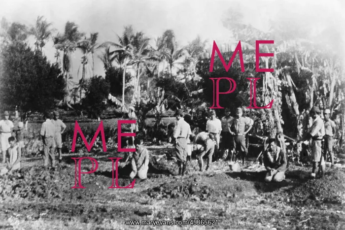 : Three men kneel before their open graves on Guam : Three men kneel before their open graves on Guam