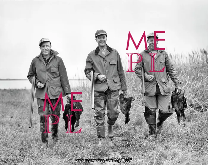 : Three Men Looking at Camera Holding Shotguns Walking : Three Men Looking at Camera Holding Shotguns Walking