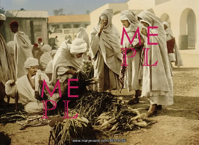: Men - Market - Occupations - Algeria : Men - Market - Occupations - Algeria