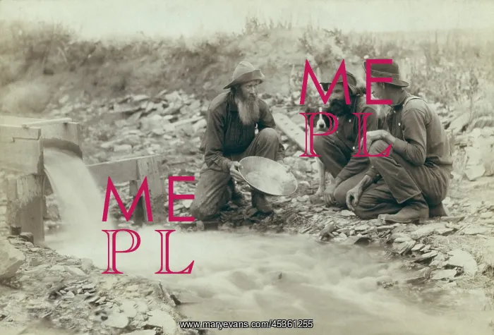 : Three men panning for gold in a stream in the Black : Three men panning for gold in a stream in the Black
