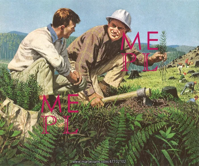  : Men Planting Trees