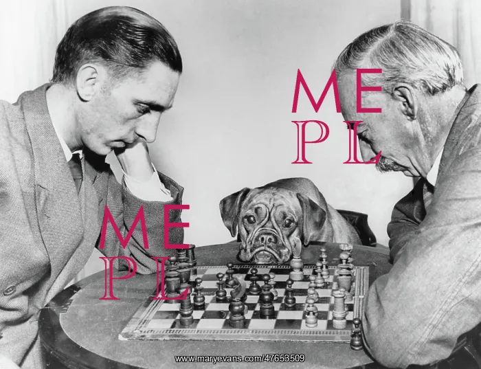 : Two men playing chess, watched by a boxer dog : Two men playing chess, watched by a boxer dog