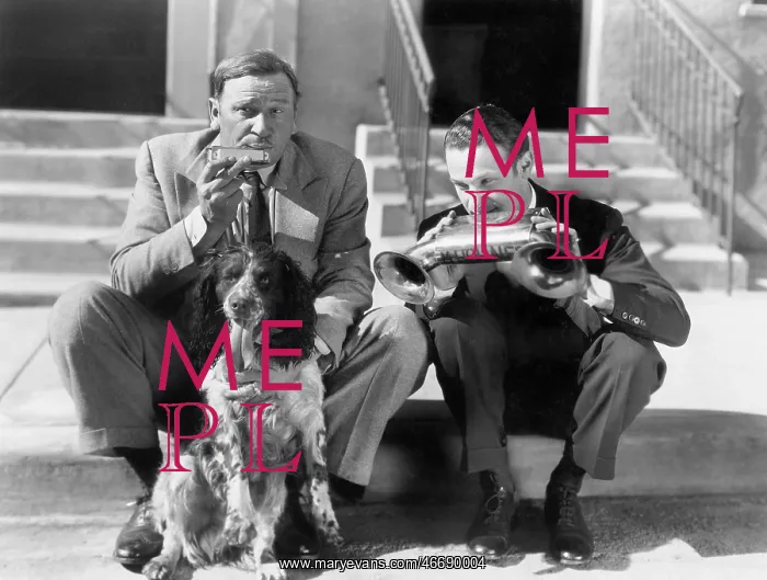  : Two men playing two harmonicas with an English Setter