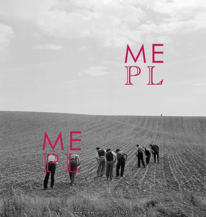 : Men Ploughing Field : Men Ploughing Field