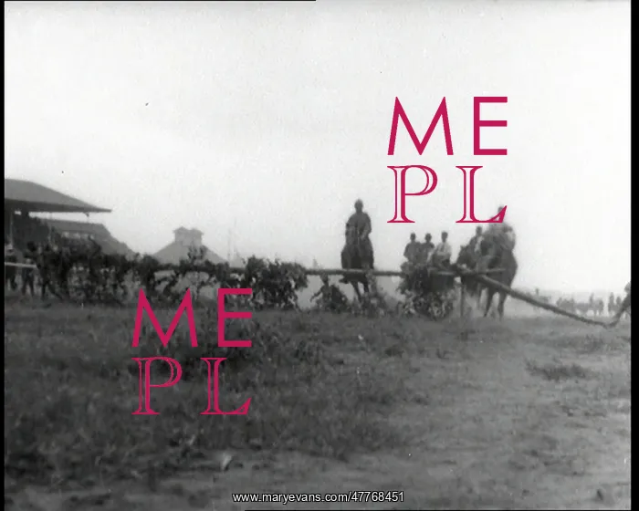 : Men Riding Cavalry Horses in a Simple Race : Men Riding Cavalry Horses in a Simple Race