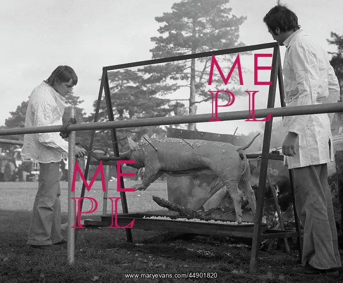 : Two men roasting a pig on a spit : Two men roasting a pig on a spit