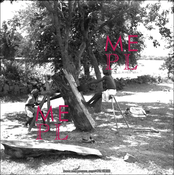 : Two men sawing a log, Madhya Pradesh, India : Two men sawing a log, Madhya Pradesh, India