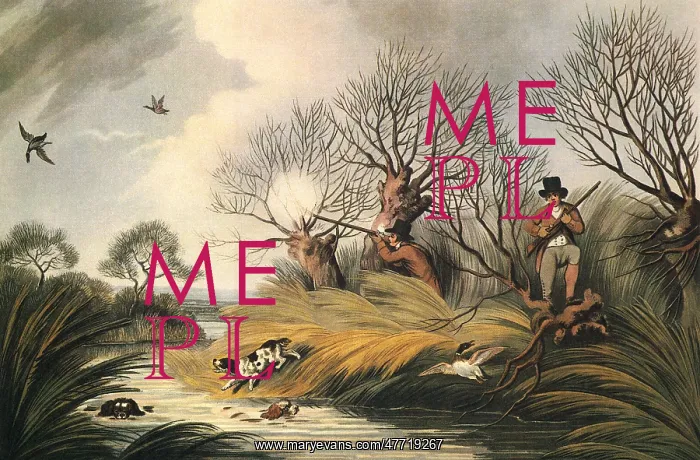  : Men Shooting Ducks