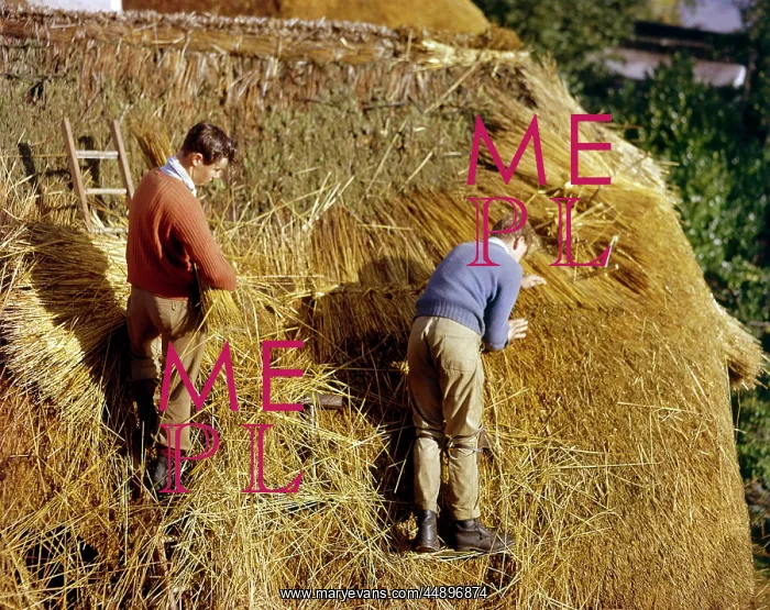 : Two men thatching a roof, Lamorna Cove, Cornwall : Two men thatching a roof, Lamorna Cove, Cornwall
