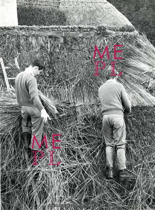 : Two men thatching a roof, Lamorna Cove, Cornwall : Two men thatching a roof, Lamorna Cove, Cornwall