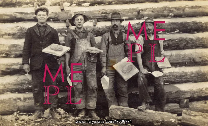 : Four men with trowels and cement on boards, USA : Four men with trowels and cement on boards, USA