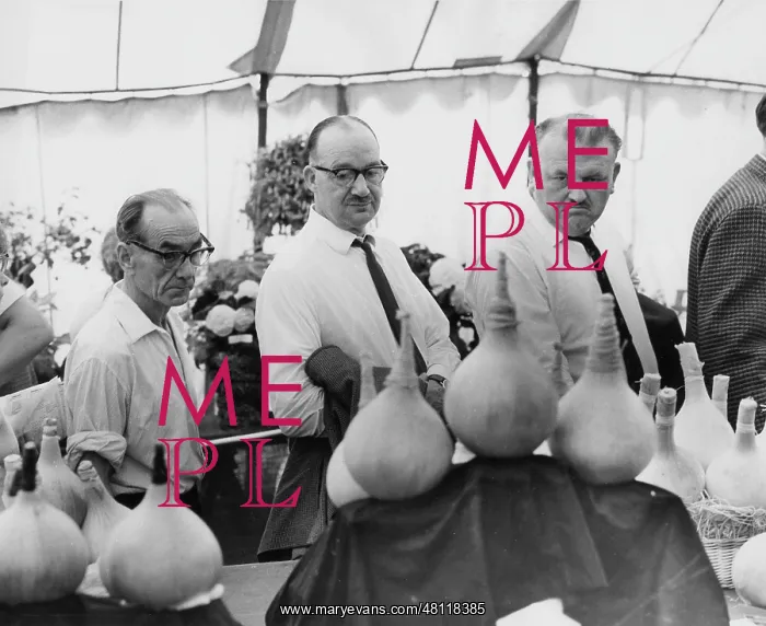 : Men at a vegetable competition : Men at a vegetable competition