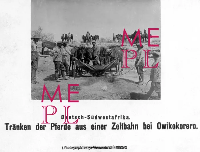 : Men water horses, 1918 : Men water horses, 1918