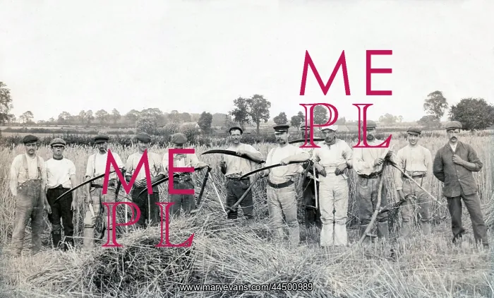 : Twelve men went to mow : Twelve men went to mow