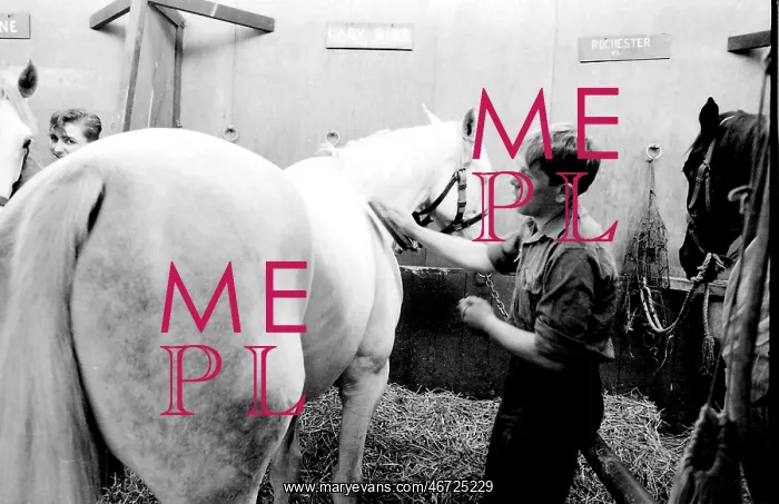 : Men at work in a stable : Men at work in a stable