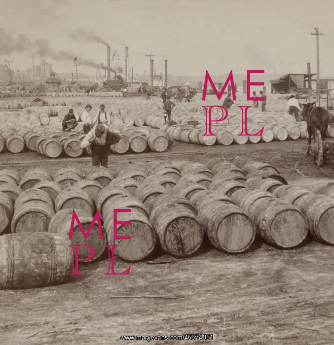 : Men work among thousands of barrels of sugar : Men work among thousands of barrels of sugar