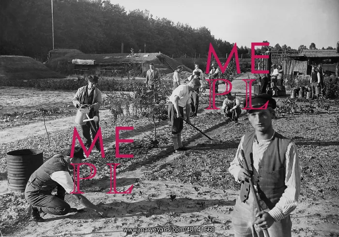 : Men working in the garden during the Great Depression, 1932 : Men working in the garden during the Great Depression, 1932