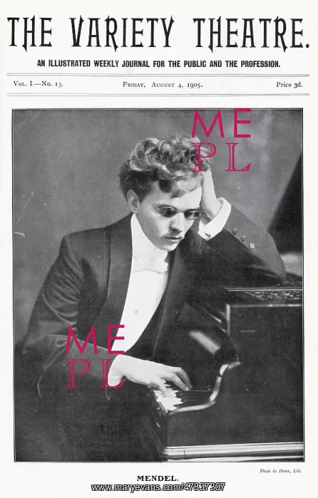 : Mendel the blind pianist : Mendel the blind pianist