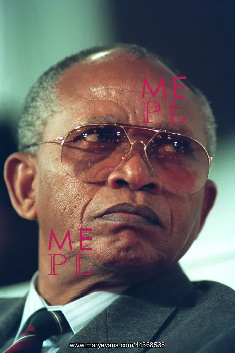  : Mendi Msimang