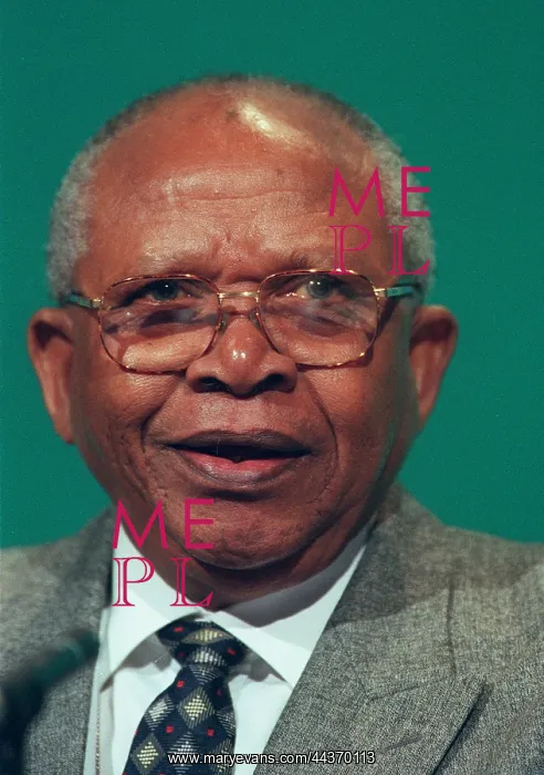  : Mendi Msimang