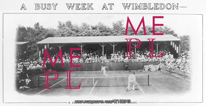 : Men's Singles - Wimbledon : Men's Singles - Wimbledon