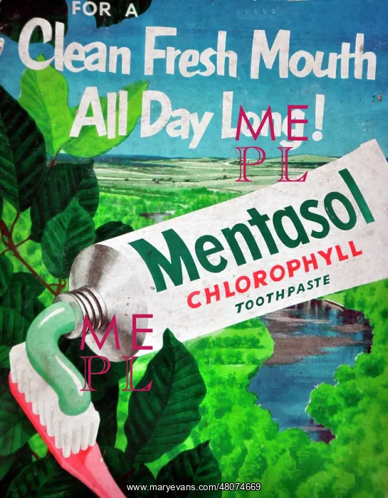 : Mentasol chlorophyll toothpaste : Mentasol chlorophyll toothpaste