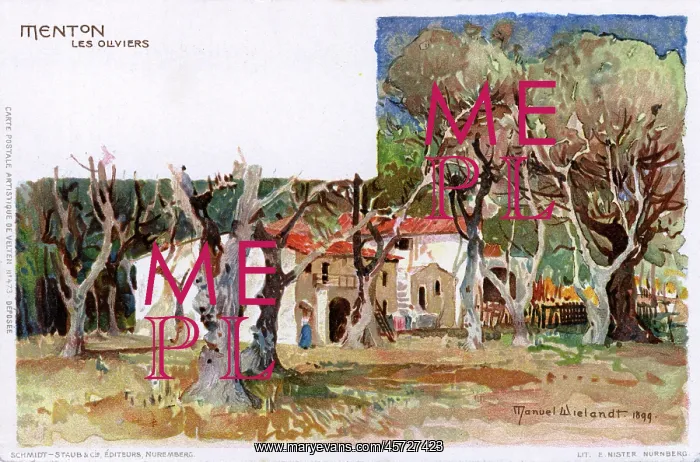 : Menton, France - Olive Trees : Menton, France - Olive Trees