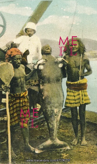  : MER-PEOPLE / LOOK-ALIKES