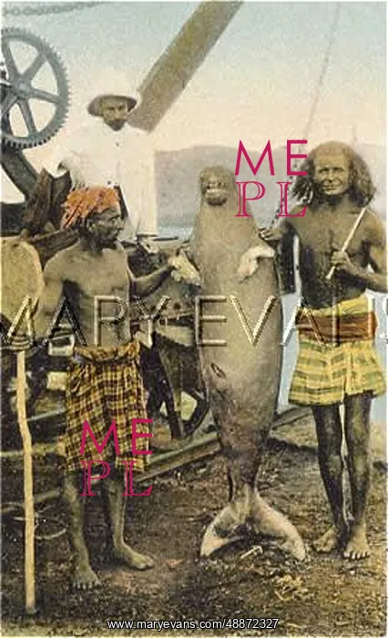  : MER-PEOPLE / LOOK-ALIKES