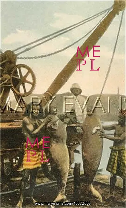  : MER-PEOPLE / LOOK-ALIKES