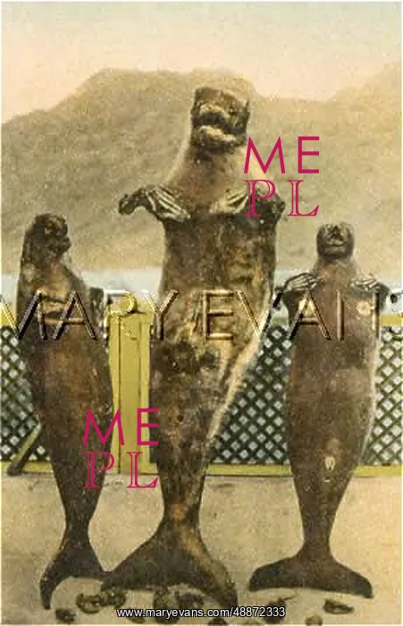  : MER-PEOPLE / LOOK-ALIKES