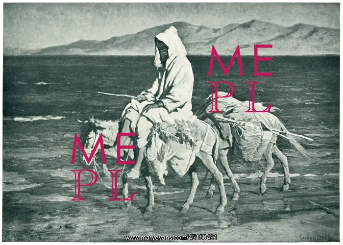 : A Merchant Of Tangier : A Merchant Of Tangier
