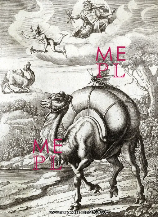  : MERCURY AND THE CAMEL