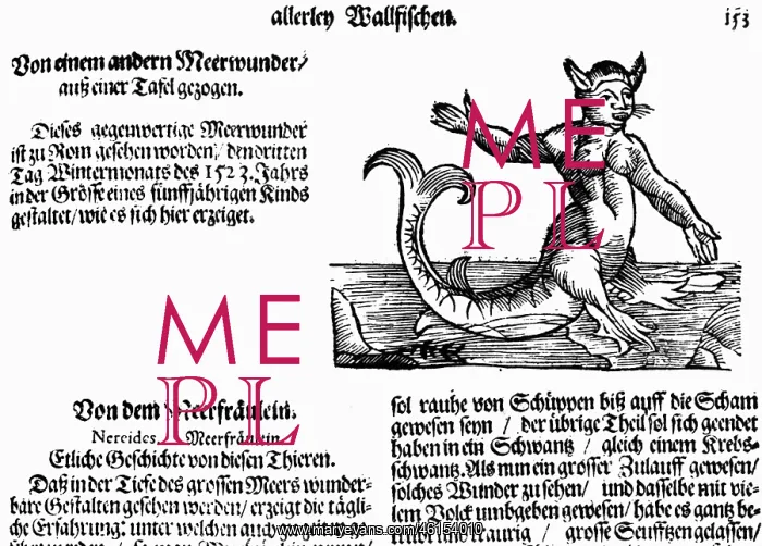 : Mermaid (Nereid) : Mermaid (Nereid)