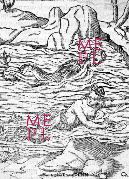  : MERMAIDS IN WATER