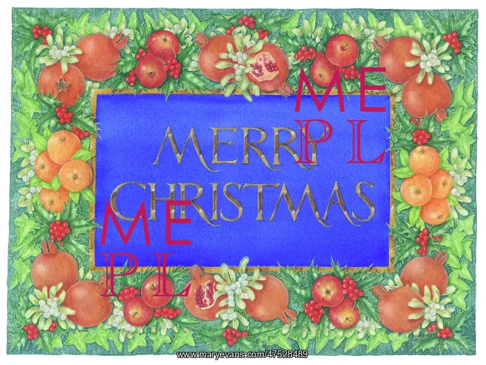 : Merry Christmas with apples, oranges, holly etc : Merry Christmas with apples, oranges, holly etc