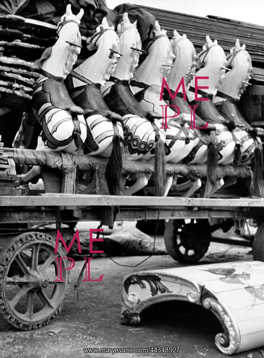 : Merry-go-round horses : Merry-go-round horses