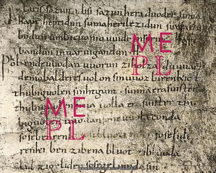 : Merseburg parchment : Merseburg parchment