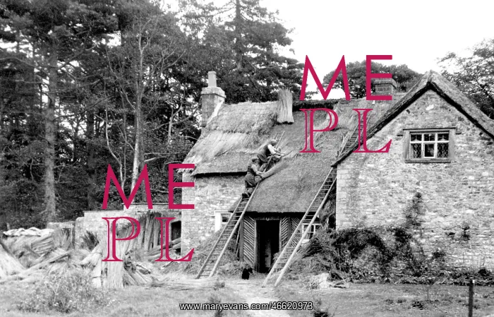  : Merthyr Mawr, Rethatching the Old School c1955
