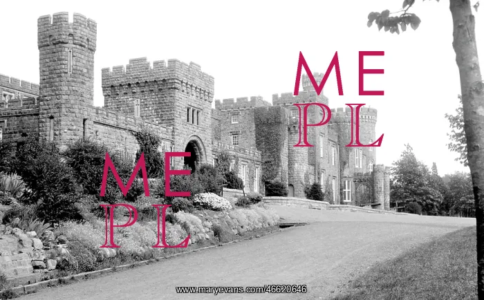  : Merthyr Tydfil, Cyfarthfa Castle c1955