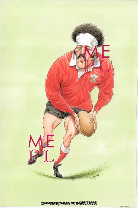 : Mervyn Davies - Welsh rugby player : Mervyn Davies - Welsh rugby player