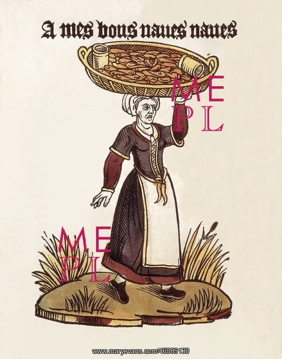 : A mes bons naves naves. The Merchant of turnips : A mes bons naves naves. The Merchant of turnips