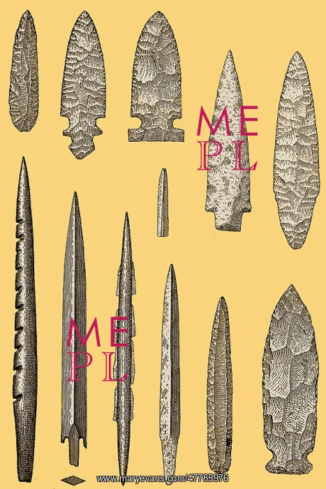 : Mesolithic and Neolithic Flint Tools : Mesolithic and Neolithic Flint Tools